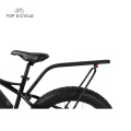 ТОП новый стиль Bafang 750W Mid Drive Motor Fat Tire Snow Электрический велосипед 2017